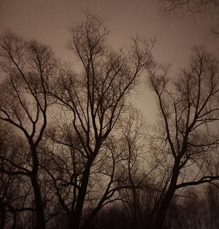 ������ ��������� �������: ����� ������� � ��������