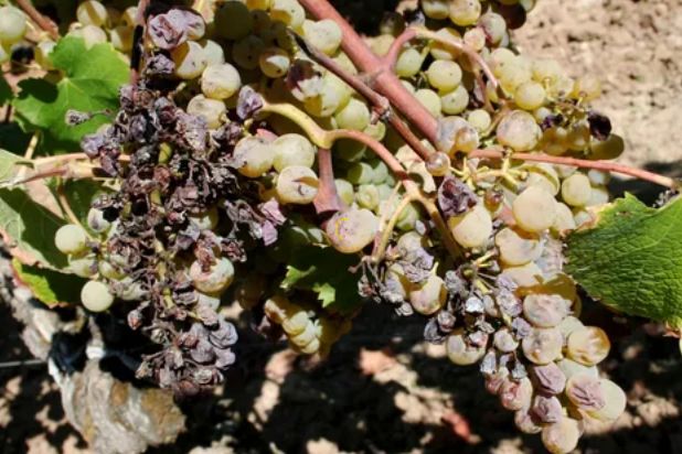 ������: ���������� ������������ �������� ���� �� �����