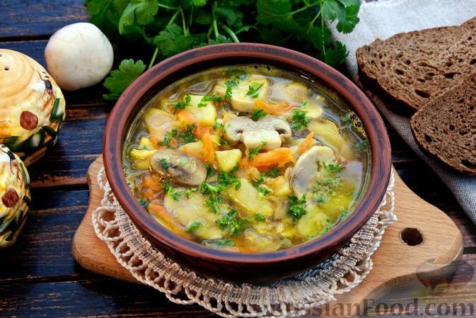 ������� ����� ����� � ���������. ������ ���� �22-23