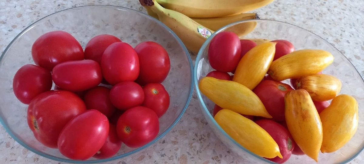 ���� �� ����� � ������ ���� �������: ��� ��������� ������ � �������� ����� ���