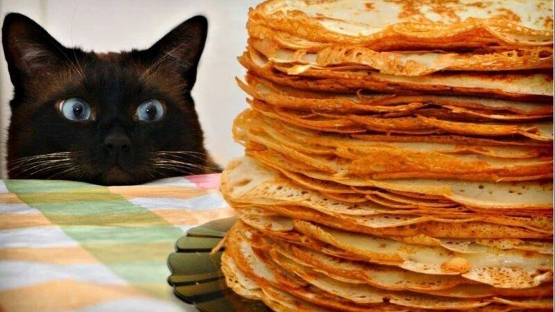 ����� ��������� 2026 ����: ���� ��� ��������� ������������