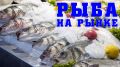 Как выбрать рыбу на рынке: полезные советы и секреты