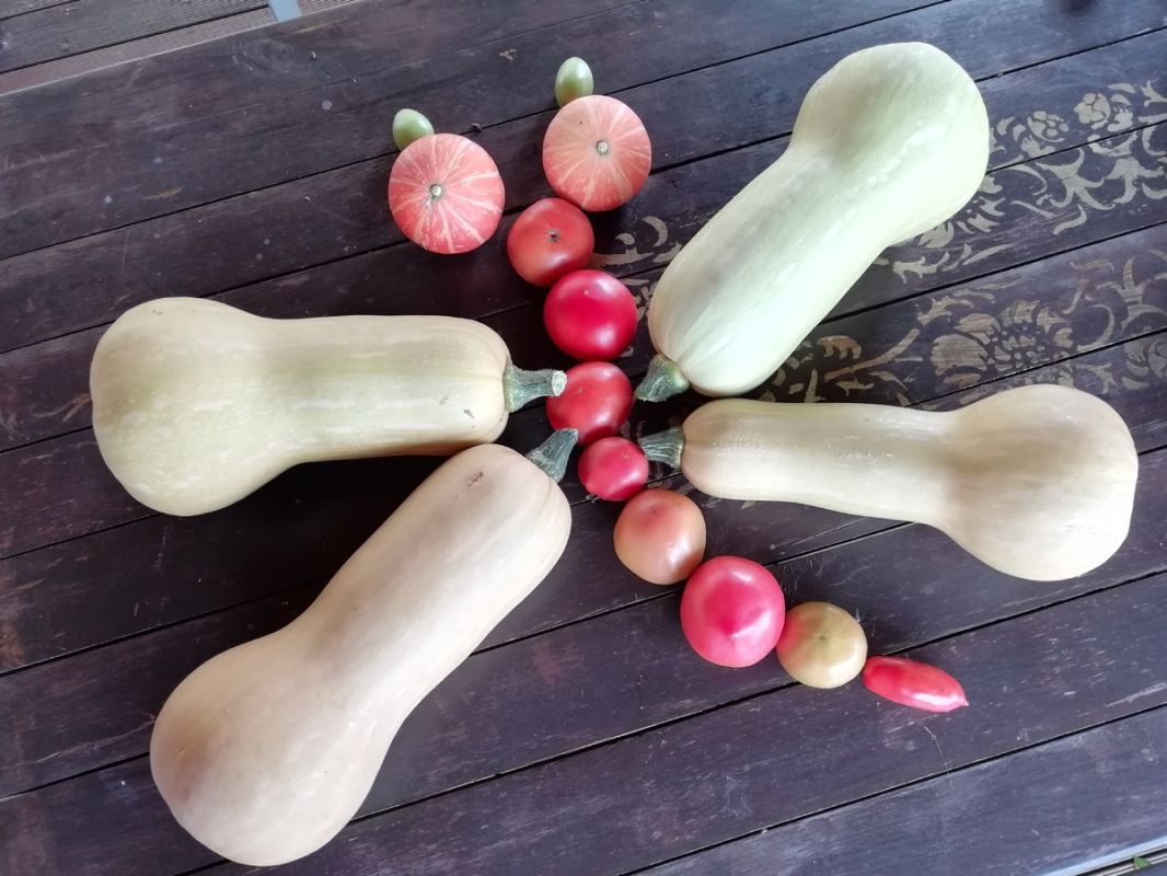 ��������������� ���� �����: ������������ ������� ������