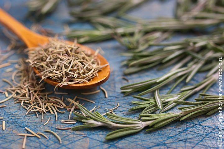 ���������� ��������: ���, ��� �� ����� �� ����� � �������� � ������� ��������