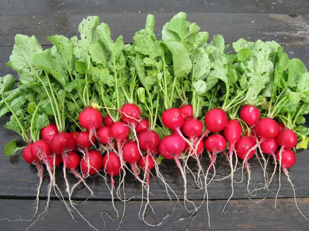 ��� ������� ����� � ��� ��� ����� �������� ��-������