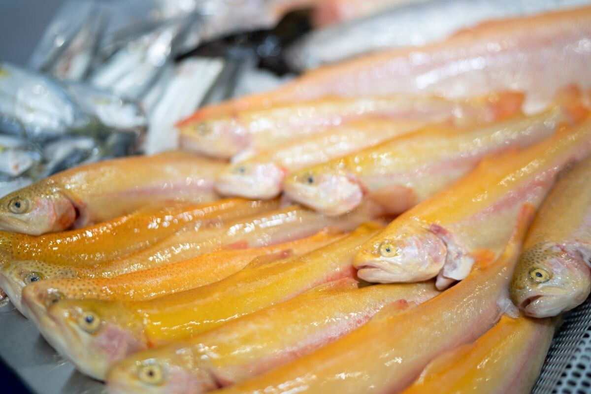 ������ ��������� ������������ � ������: �������� ��������� �� ���� ������