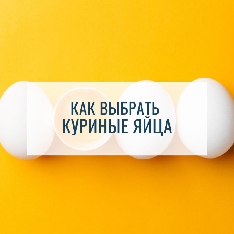 ��� ��������� �������� ������� ����: ������ � ������