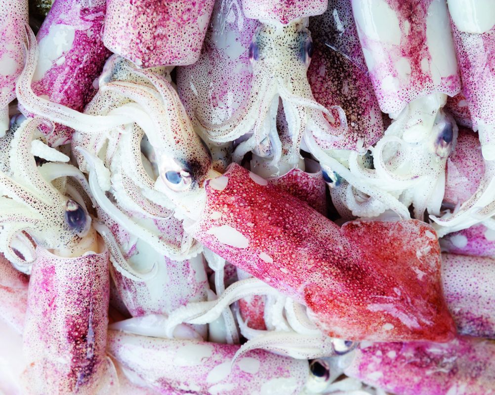 ��������: �� ������ �� �������������