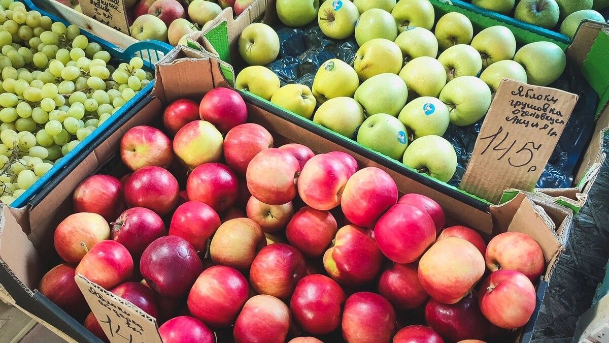 ���������������� ������ ���� ����� � ������������ �������� ���������