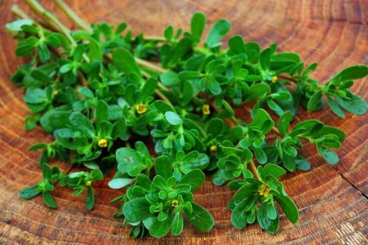 Портулак: неожиданный суперфуд, который изменит ваше представление о зеленых растениях
