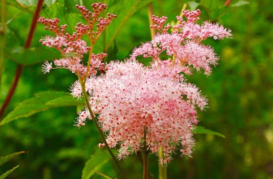 �������� ���������� �������� �������: ��� �������� ������ ���������� �������