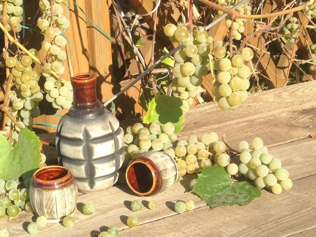 ����: ����������� � ������� ���������� ��������