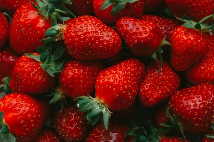 � ������ ��������� ������ ��������: ������� ����� ������� ���������