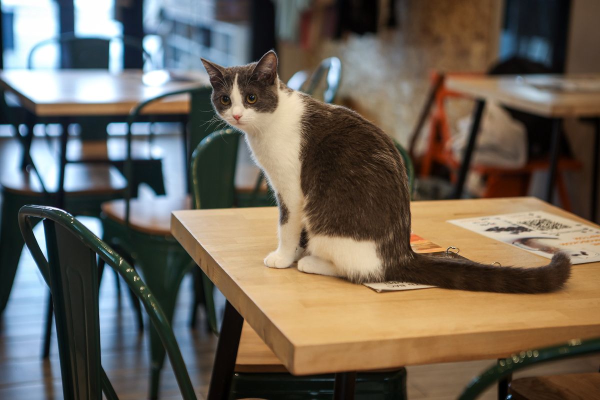 �������� �������� �������� � ������������: ��� ������ ��� ����������