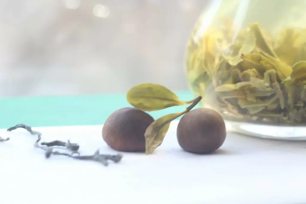 Ферментированное чайное масло: новый тренд в уходе за чувствительной кожей