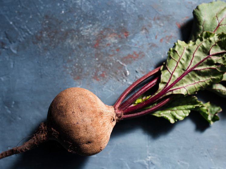 ��� ������ �������� ������: ������ ����������������