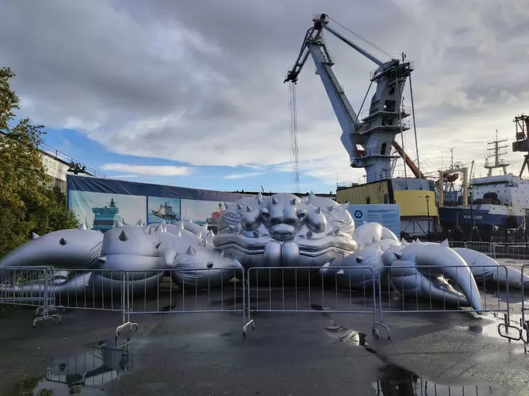 Печенгского жителя оштрафовали на 200 тысяч за нелегальное хранение крабовых конечностей