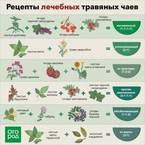 ��� �������� ��������� ������: ������� ��������� �������� �� ����� ����������