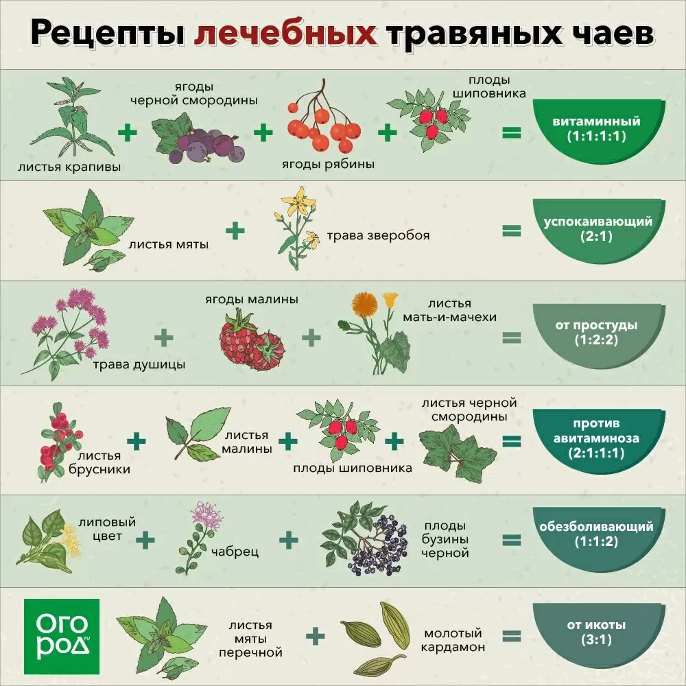 Как изменить привычное завтра: секреты успешного перехода на новые технологии