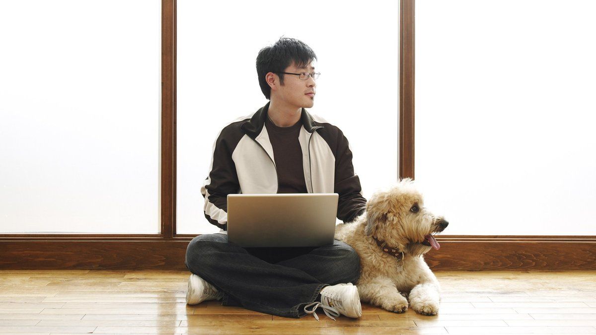 �������� ����� � ��������: ��� �������� ���������� � ����