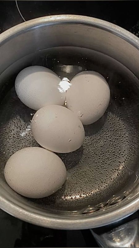 ����: ���� ����������� ��� �������� ��������?