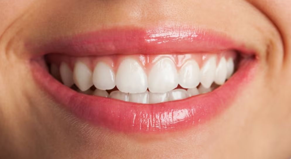 ������ �� �������: �������� � �������� � ���������