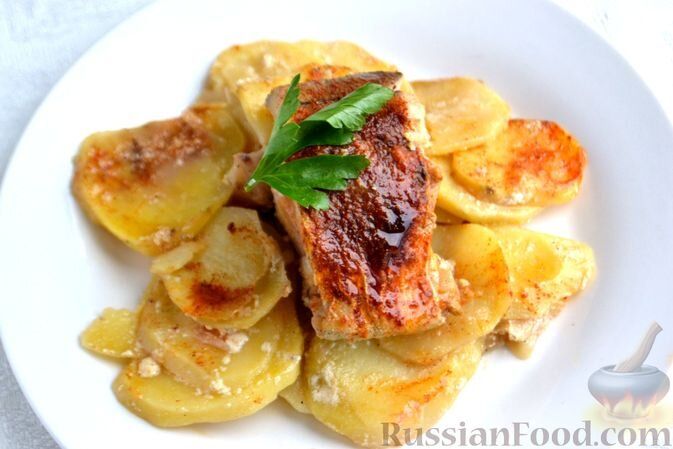 ������� ���� �� ������ ����: ���� �� ����� ������