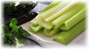 ��� �������� ��������� ���������: ������� ������ � ������ �� ����������