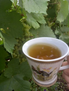 ��� � ����������� ����������: ���� � �������