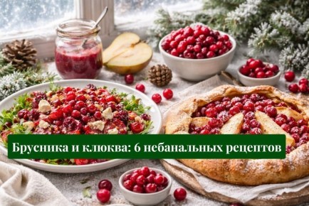 �������� ������� �����: �������� � ������ � 6 ����������� �������� ��� ������ �������