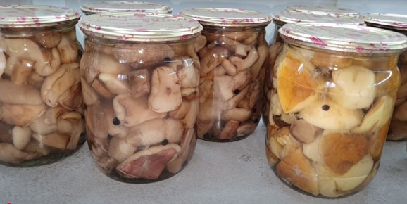 ������ �������: ��� ��������� ���������� ������ �����