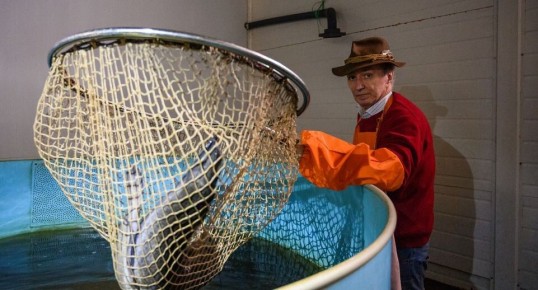 ���� �� ���� ���������� �����: ��� ����� �� ������������?