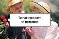 ��� ��������� �������� � ����� ��������: ������ �� ������� �����������