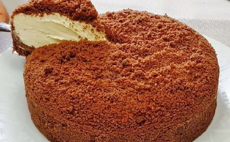 Нежный шоколадный торт без выпечки: просто и вкусно для всей семьи