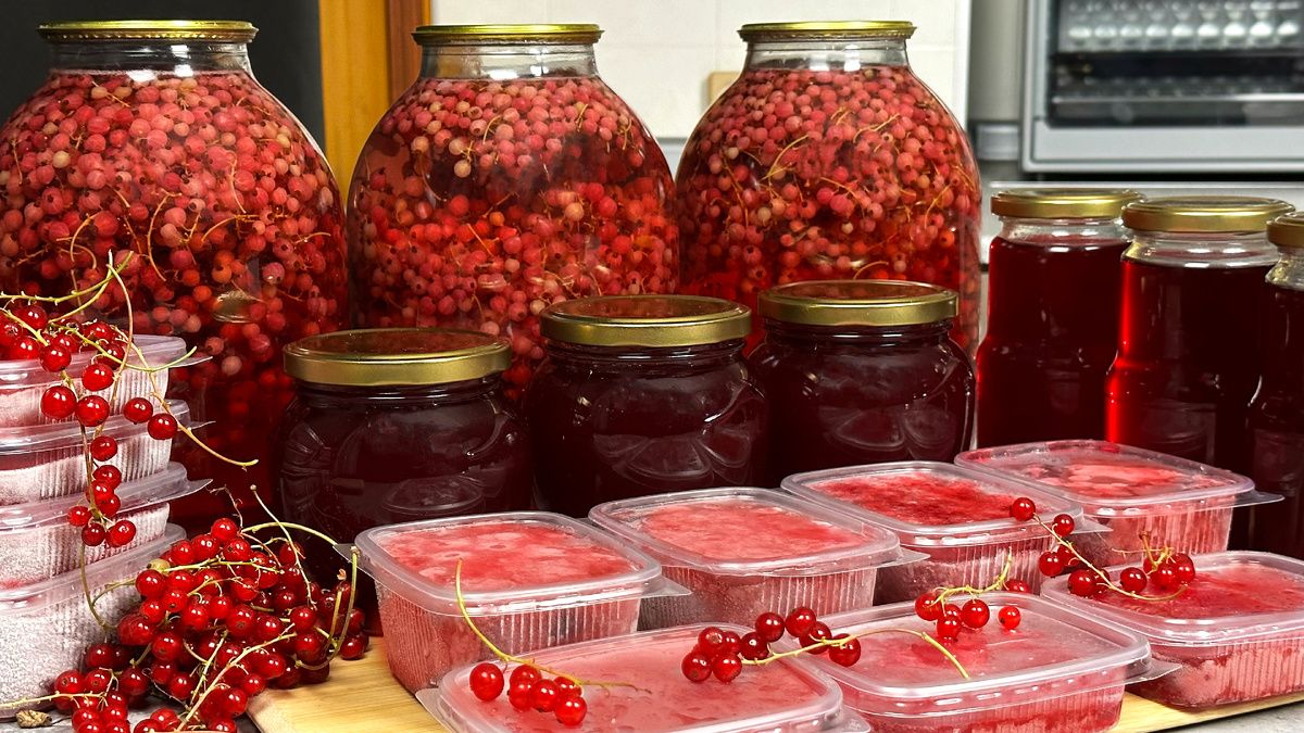 11 простых и вкусных способов заготовки красной смородины на зиму