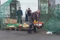 Нелегальные продавцы арбузов и дынь пойманы в Петербурге
