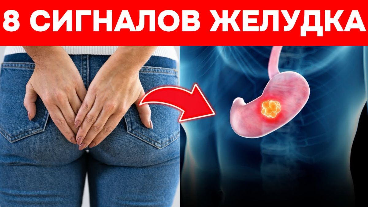Зимняя тяжесть после еды: как прожить холод без лишнего давления на живот