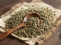 Чечевица как альтернатива мясу: что следует знать